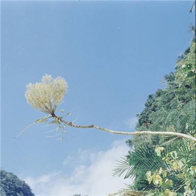 B体育手机版在线app下载