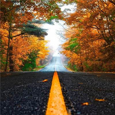 北单体彩网官网